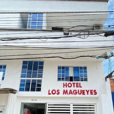 Hotel Los Magueyes Bucaramanga Eksteriør bilde