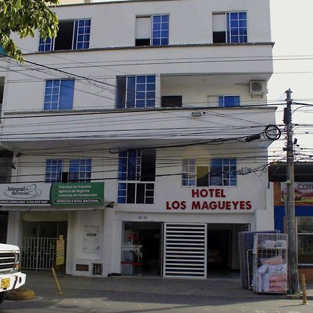 Hotel Los Magueyes Bucaramanga Eksteriør bilde