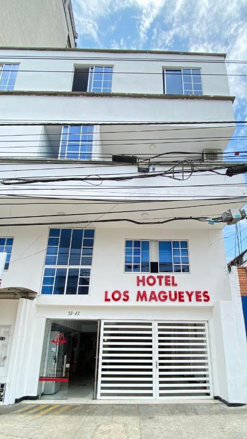 Hotel Los Magueyes Bucaramanga Eksteriør bilde