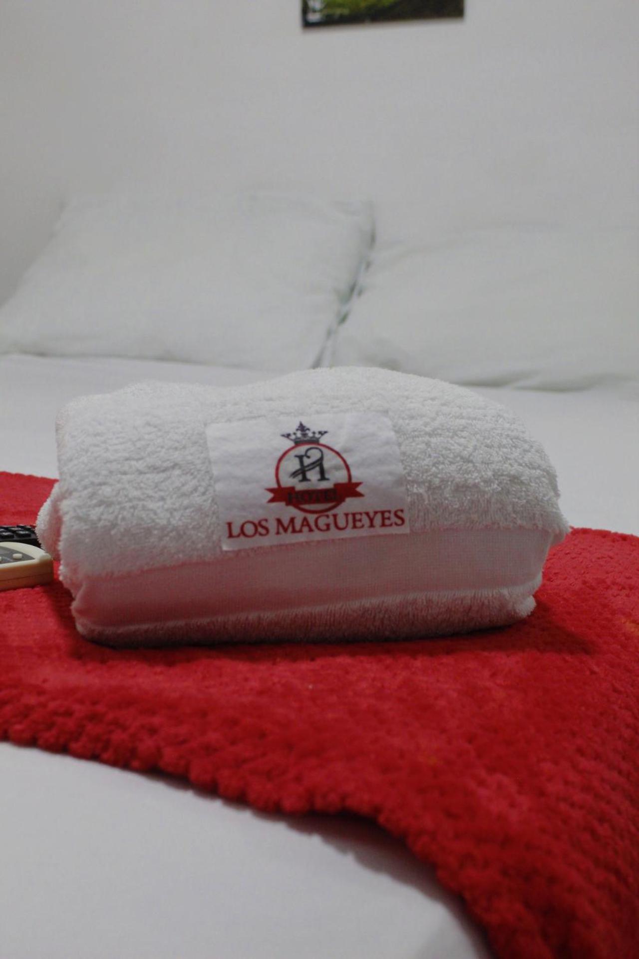 Hotel Los Magueyes Bucaramanga Eksteriør bilde